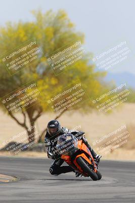 media/Apr-12-2025-Race Pace (Sat) [[9230add55f]]/Vested/6-Turn 4 Tree of Life (115pm)/